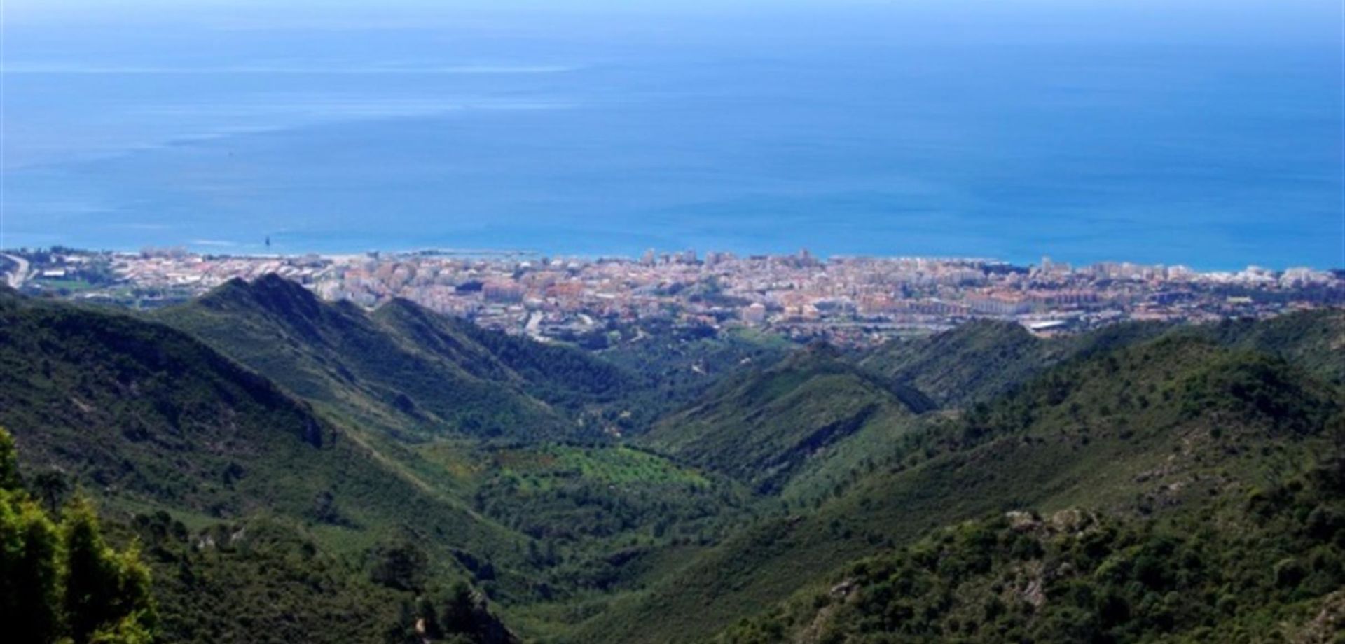 Palo ALto - Los Almendros in Ojen